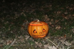 Ориби Каммпирр -...