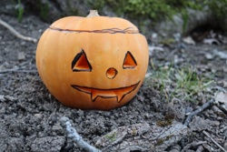 Ориби Каммпирр -...