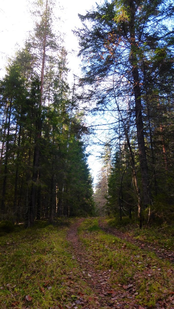 Обложка произведения Пещера сказок