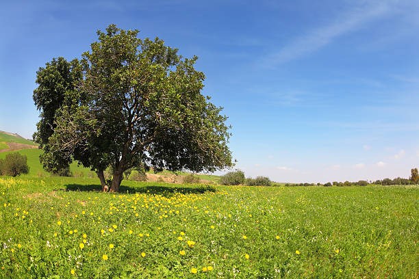 Обложка произведения Философские басни Посохова