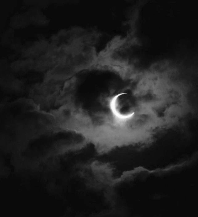 Обложка произведения Шепот мрака