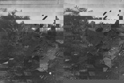 САУ с 37мм ПТП на...