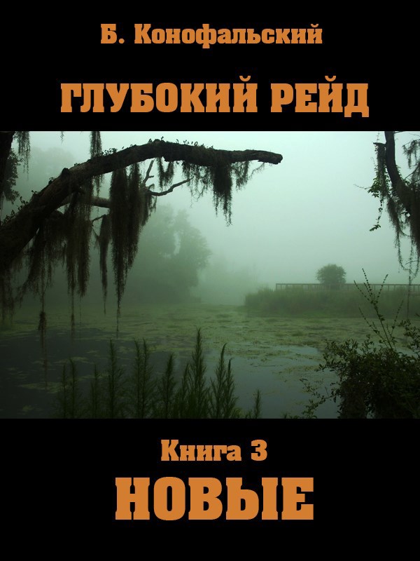 Обложка произведения Глубокий рейд книга 3 НОВЫЕ