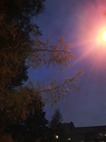 Обложка произведения Баба Яга, посиделки и сны перед Самайном