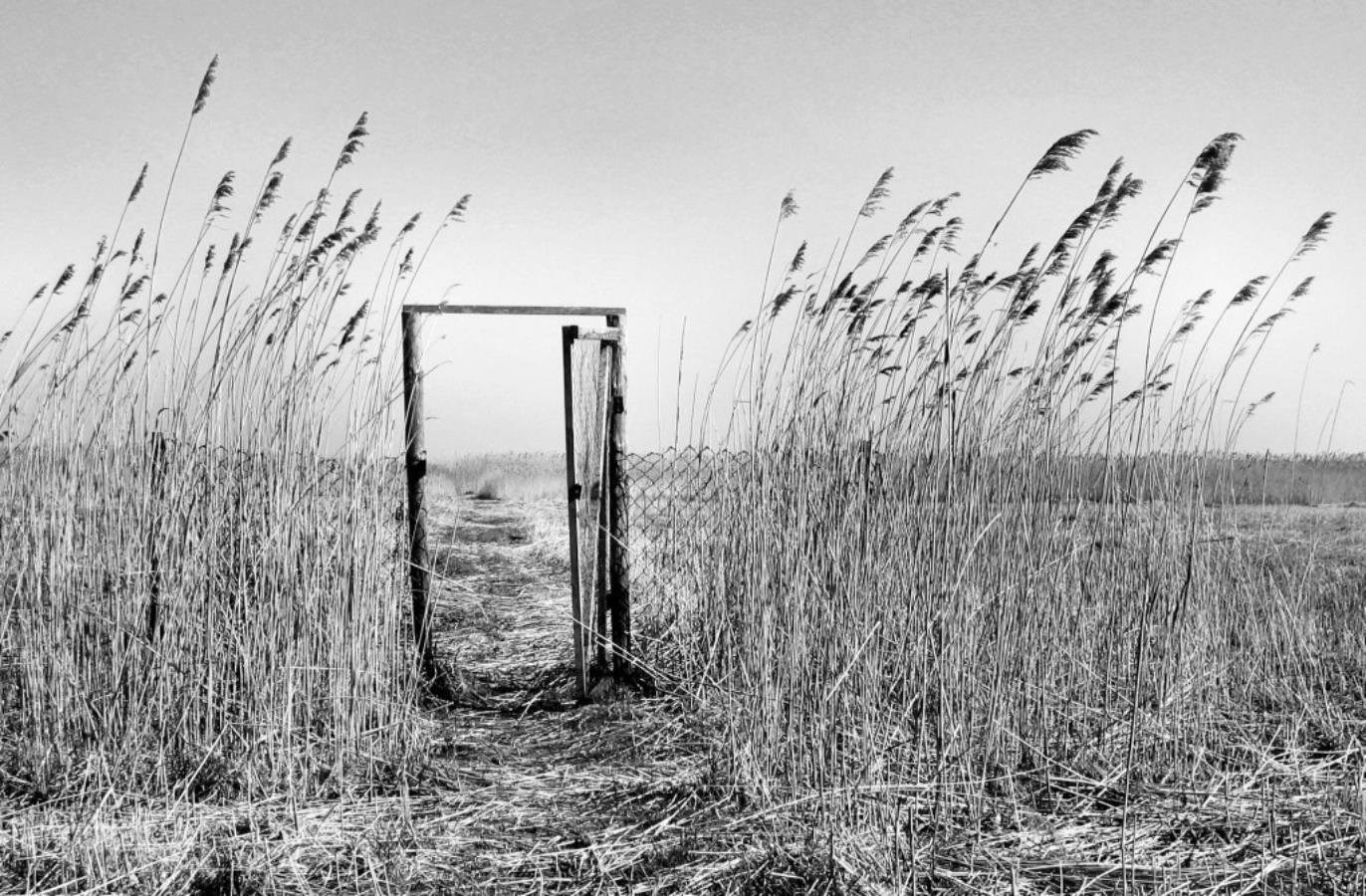 Обложка произведения Стадии горя