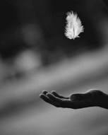 Обложка произведения За миг до падения