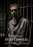 Обложка произведения Попаданец