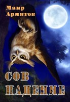Обложка произведения Сов падение
