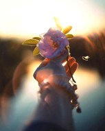 Обложка произведения Обнимите..