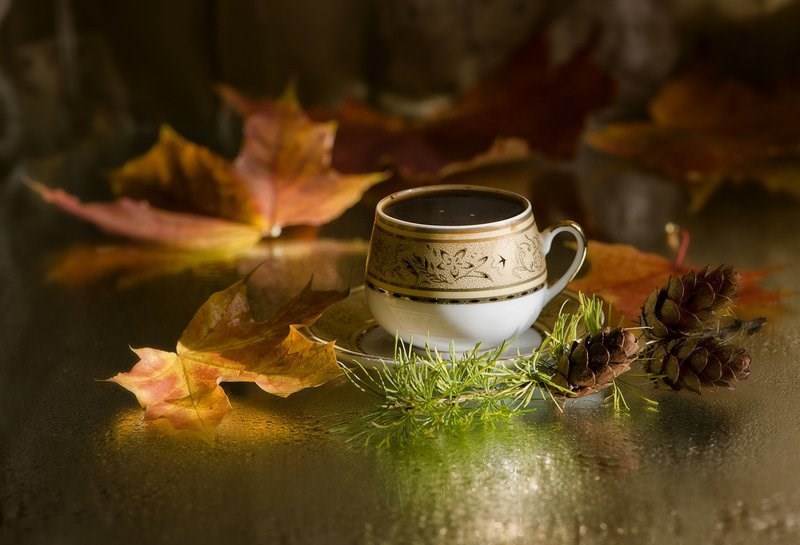 Обложка произведения Размышления о литературе