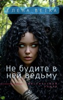 Обложка произведения Не будите в ней ведьму