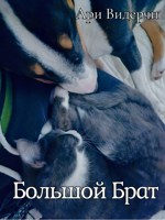 Обложка произведения Большой Брат
