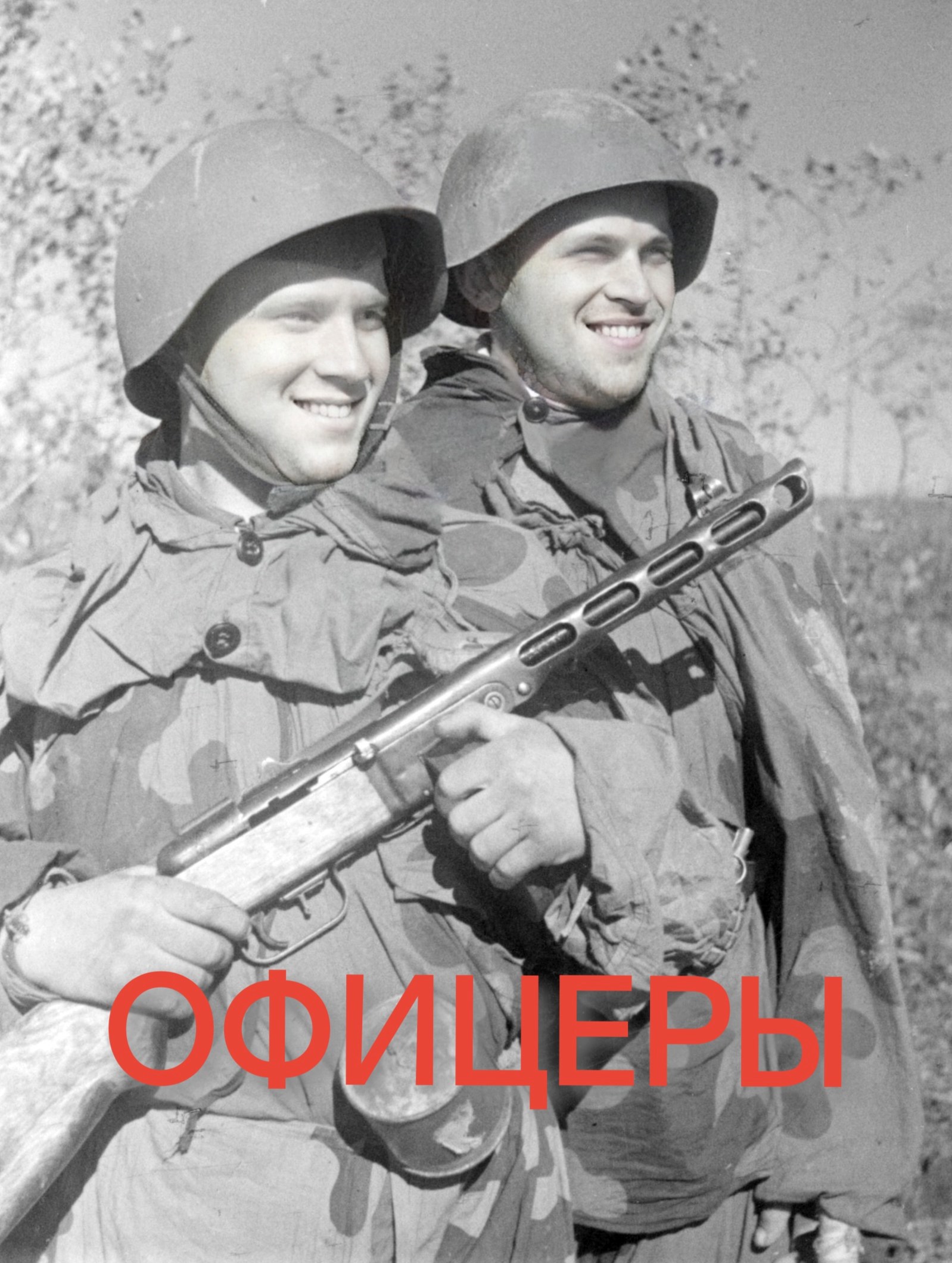 Обложка книги «Офицеры»