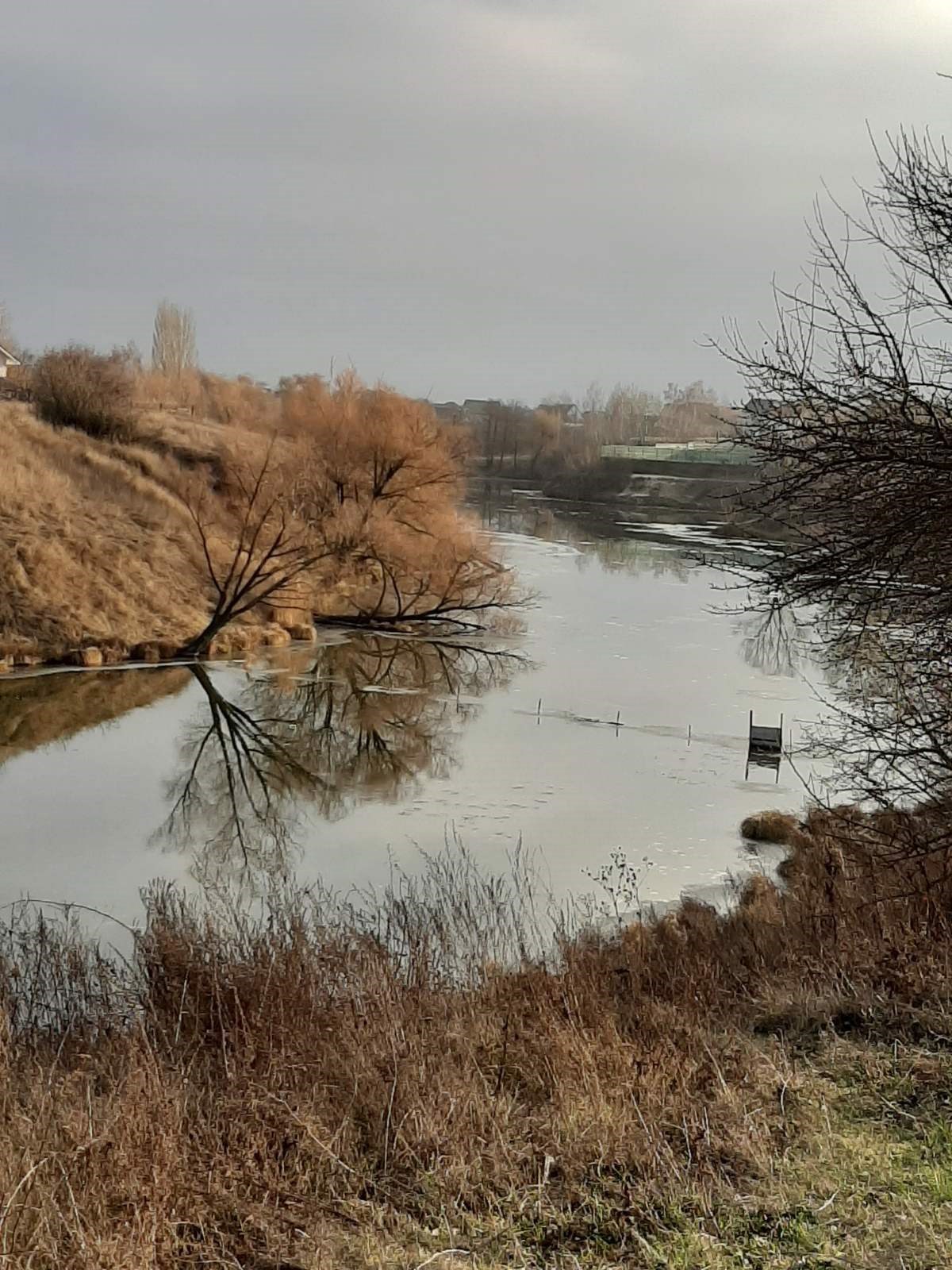 Обложка произведения Шепот реки