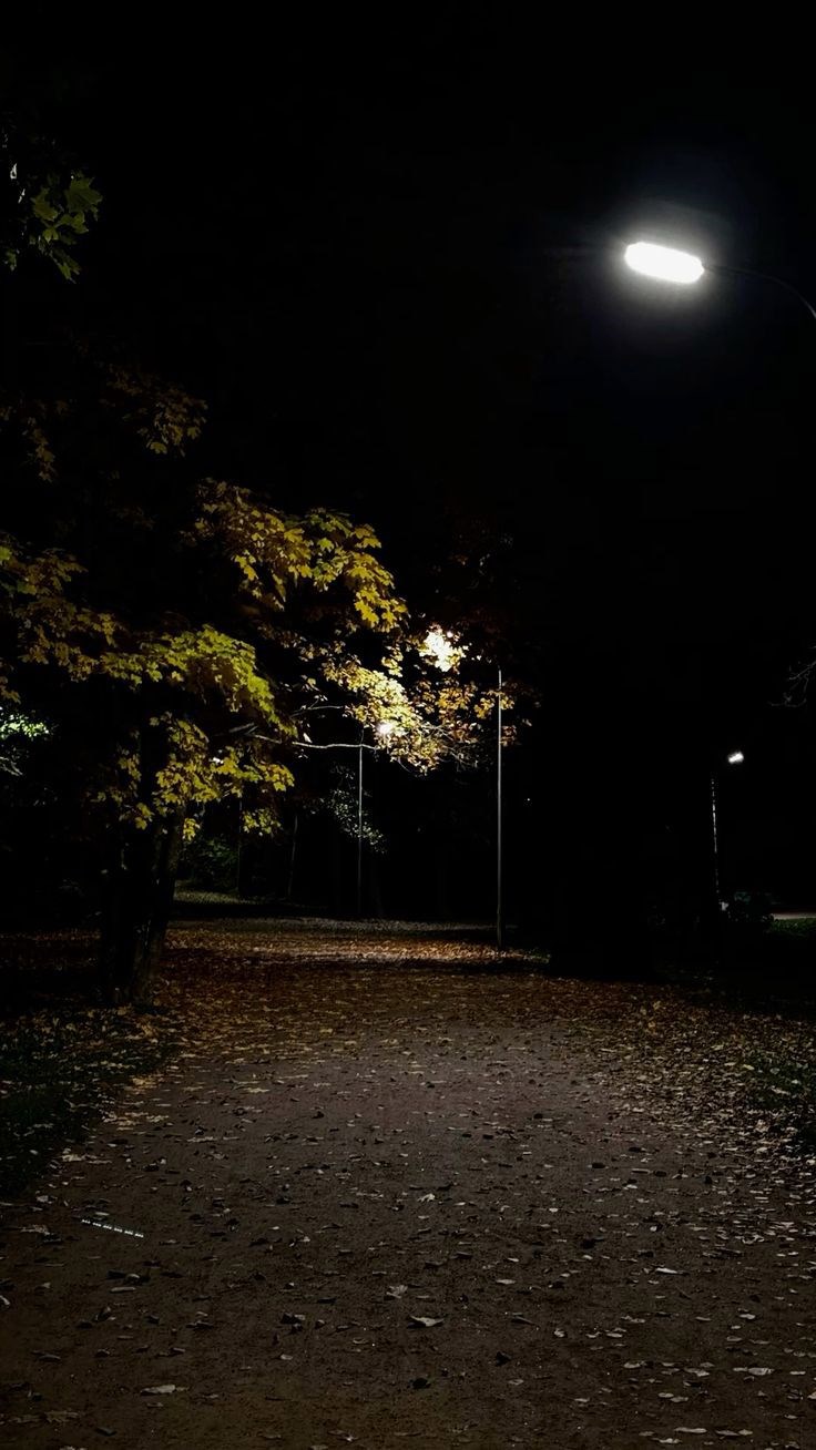 Обложка произведения Свет фонаря