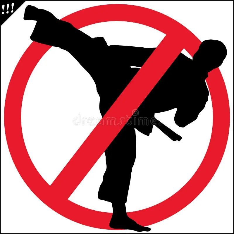 Обложка произведения О вреде восточных единоборств.