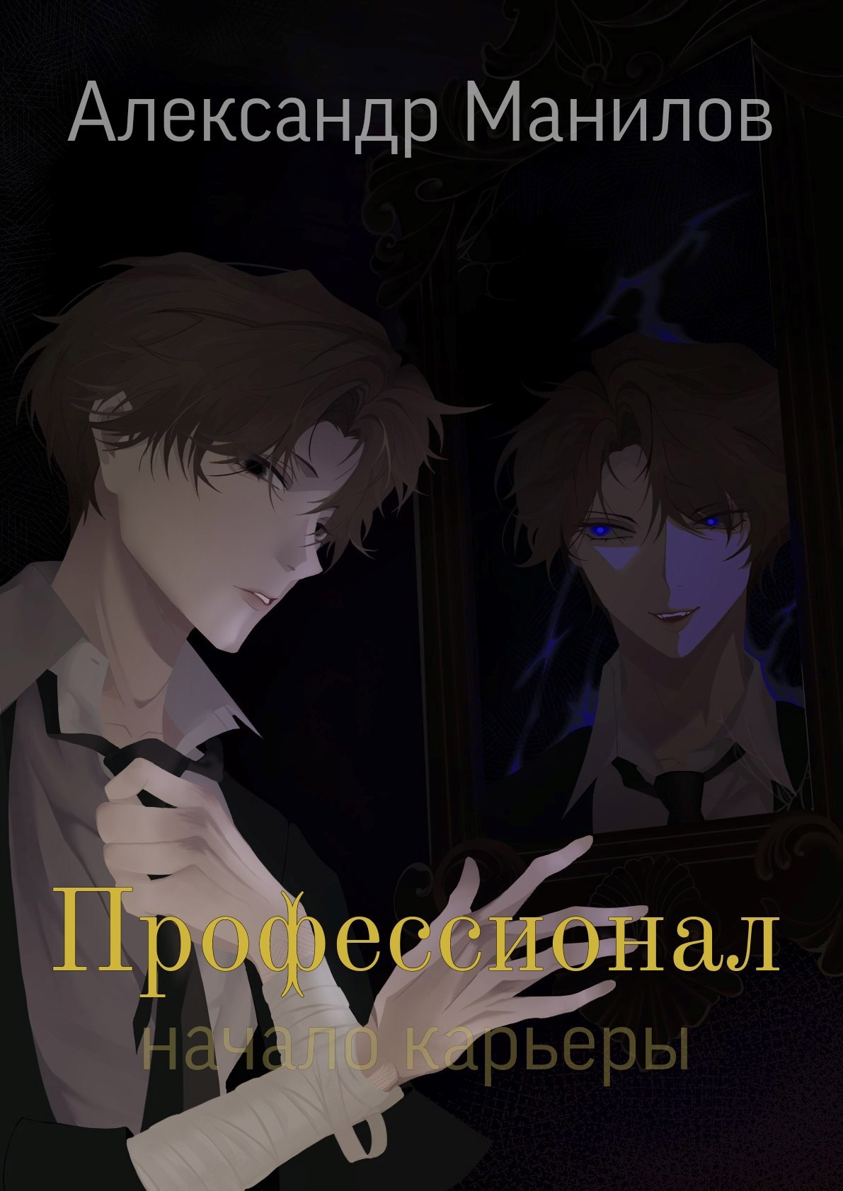 Обложка произведения Профессионал. Начало карьеры