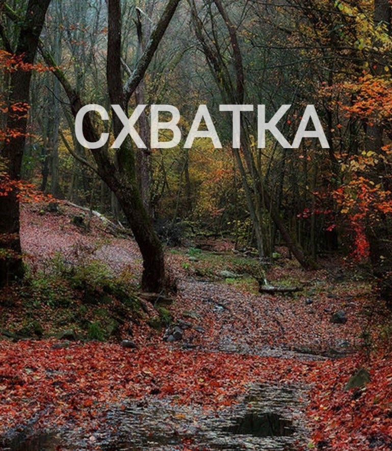 Обложка произведения Схватка