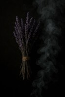 Обложка произведения Сны Маргариты