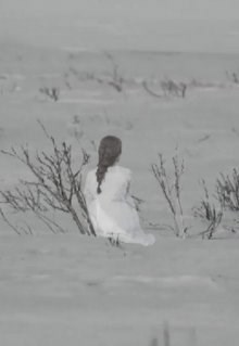 Обложка произведения Охота