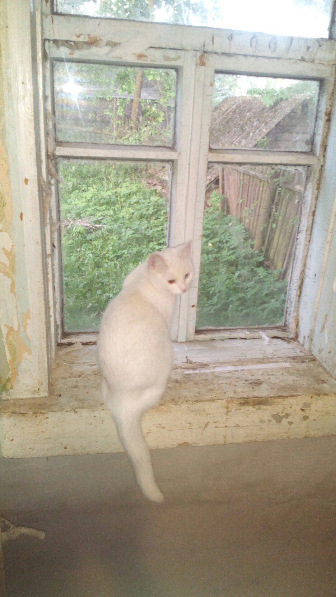 Обложка произведения Перламутровая сказка часть 7