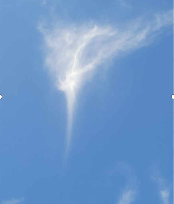 Обложка произведения «... Наши страстные печали над таинственной Невой...»