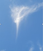 Обложка произведения «... Наши страстные печали над таинственной Невой...»