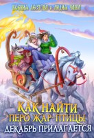 Обложка произведения Как найти перо Жар-птицы. Декабрь прилагается
