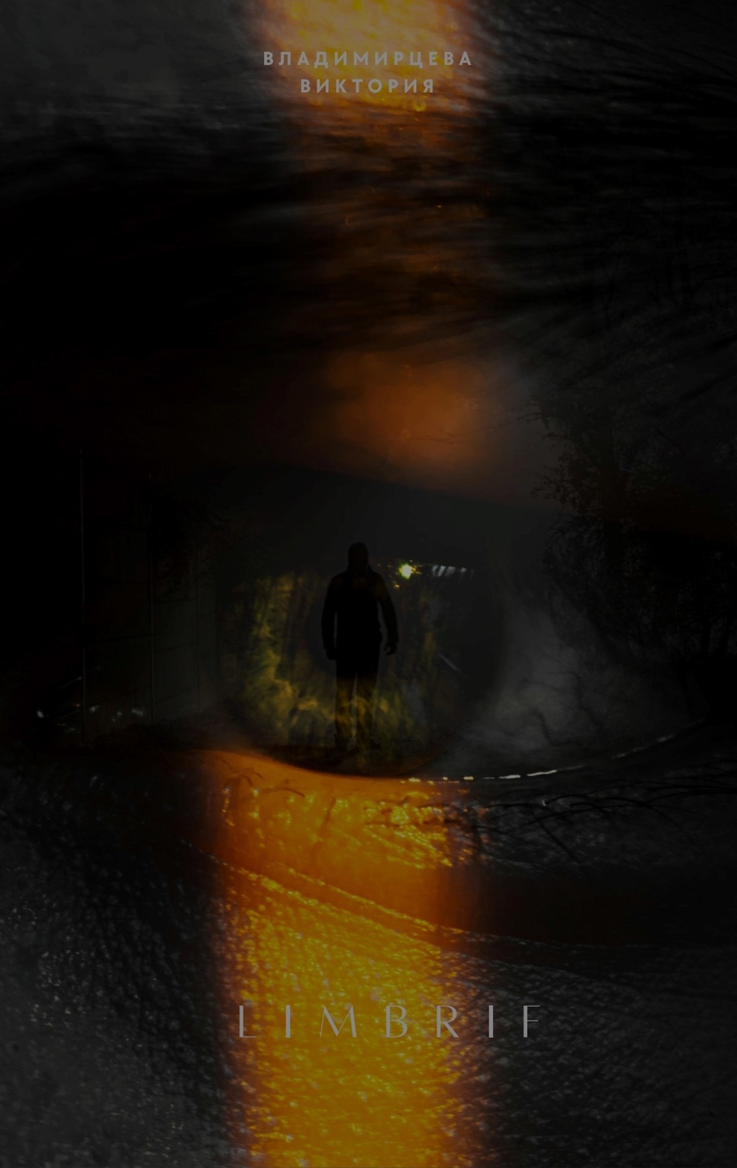 Обложка произведения Limbrif