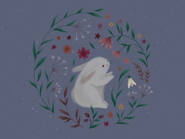 Иллюстрация