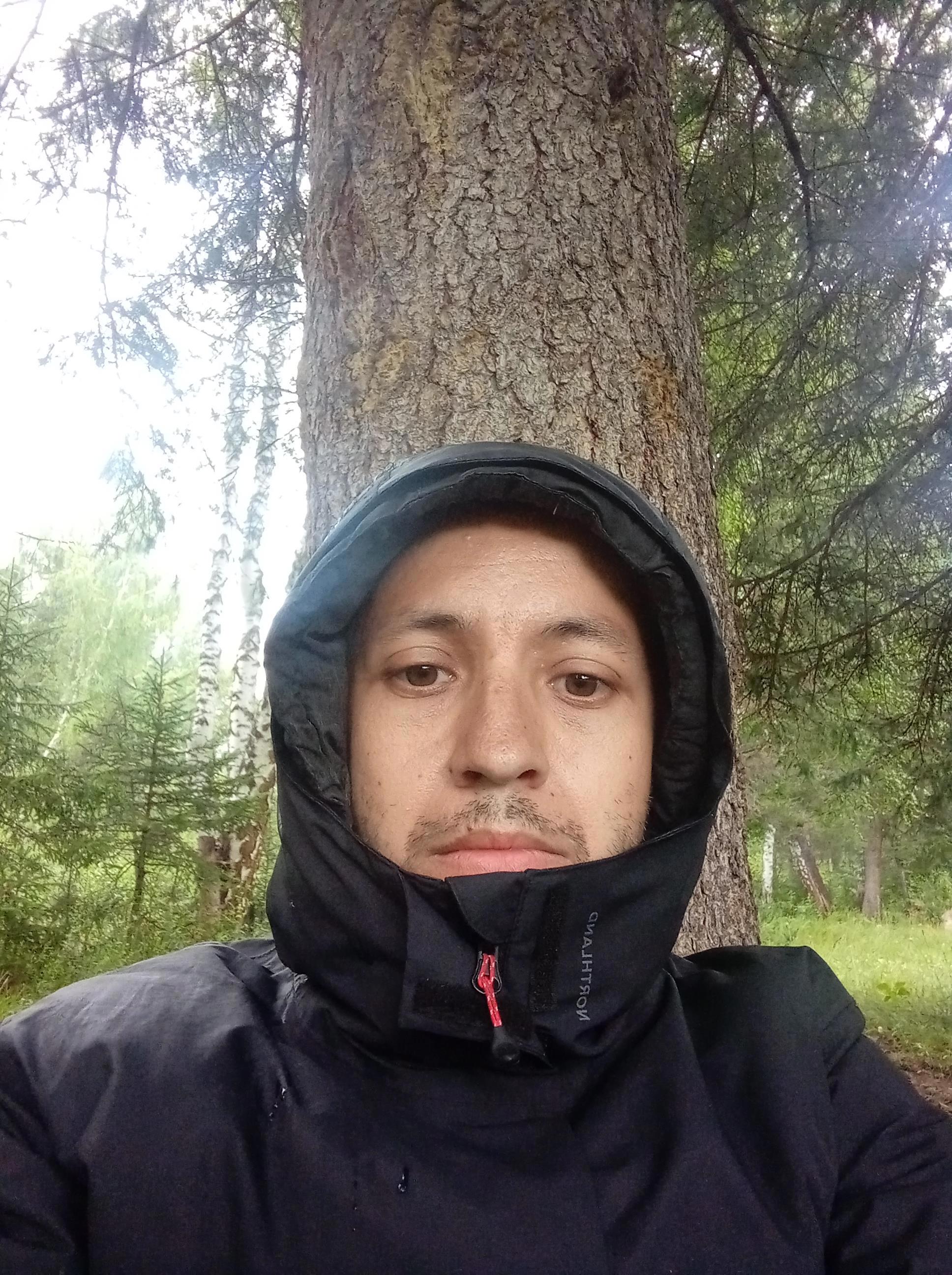 Дорога привела обратно: утро с коровами и дух Уймонской долины - Виктор Агеев-Полторжицкий