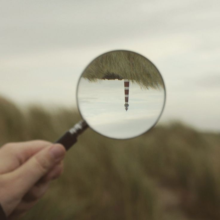 Обложка произведения Внутри