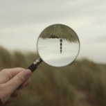 Обложка произведения Внутри