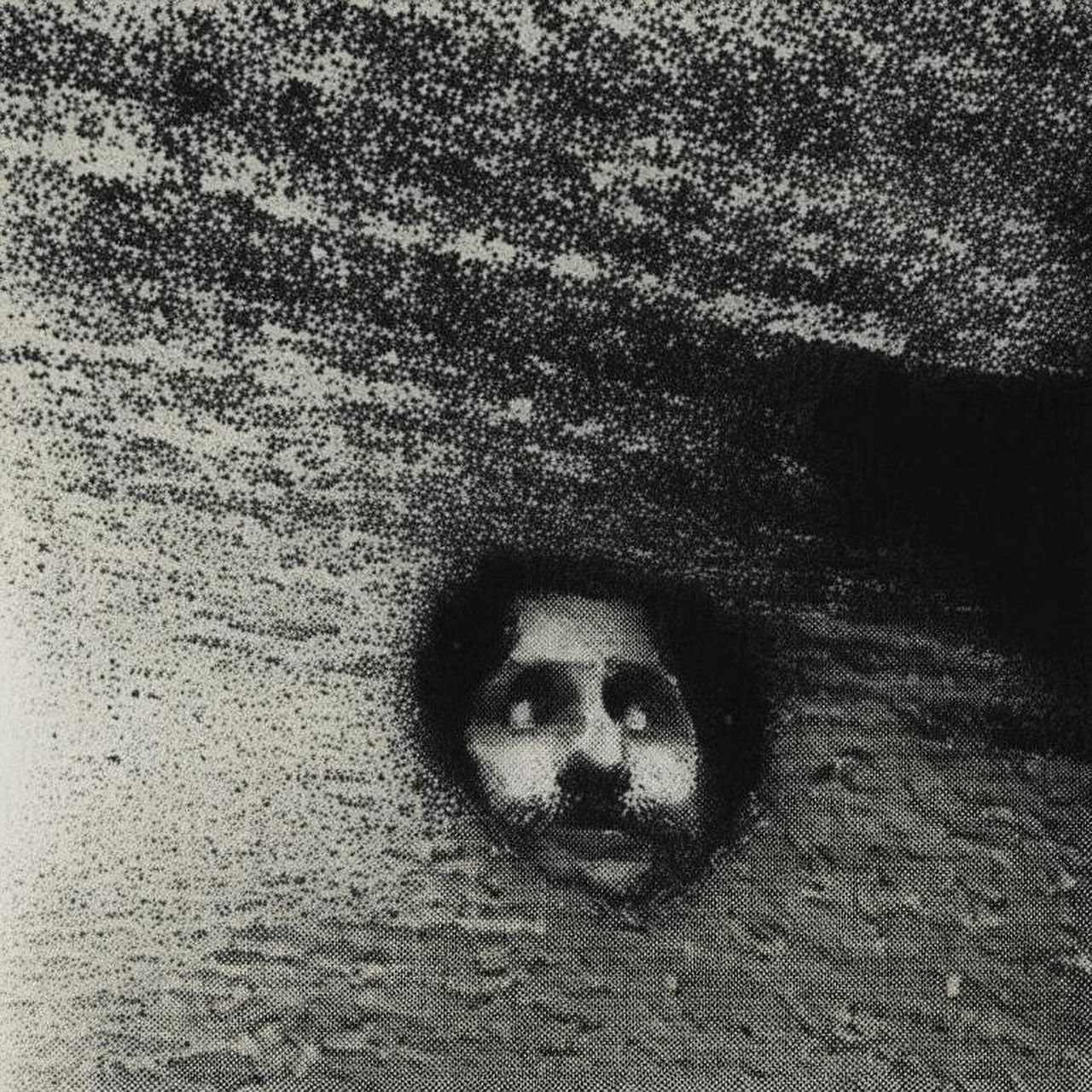 Обложка книги «Хронология крика»