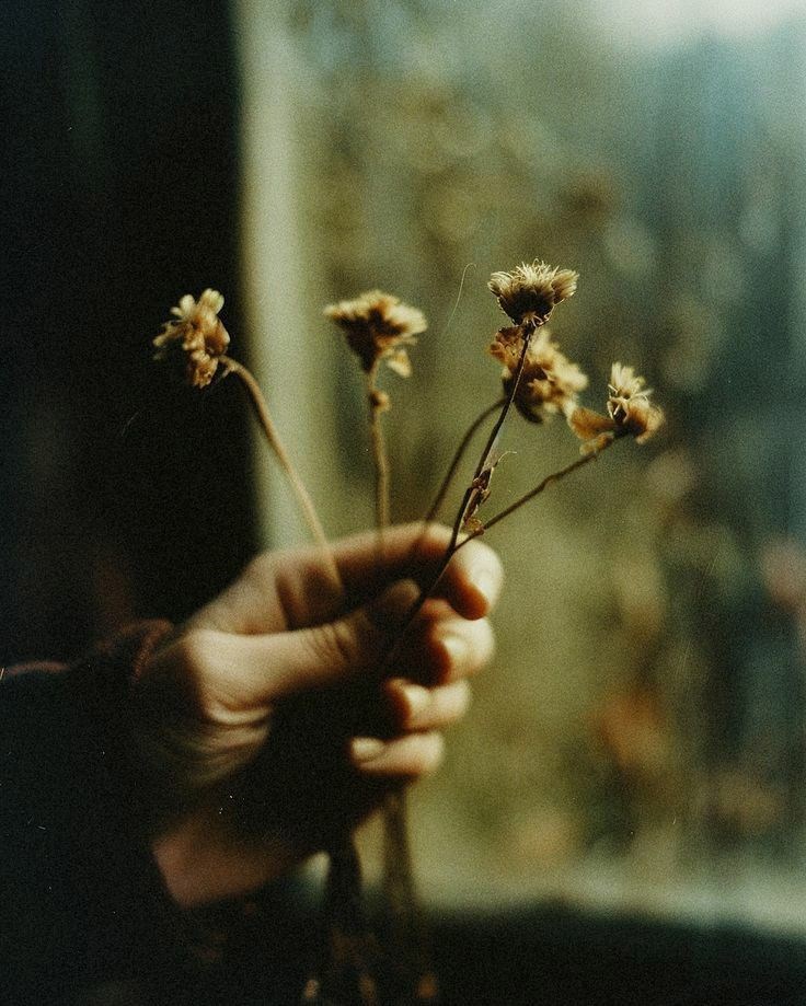 Обложка произведения О самом сокровенном мы молчим..