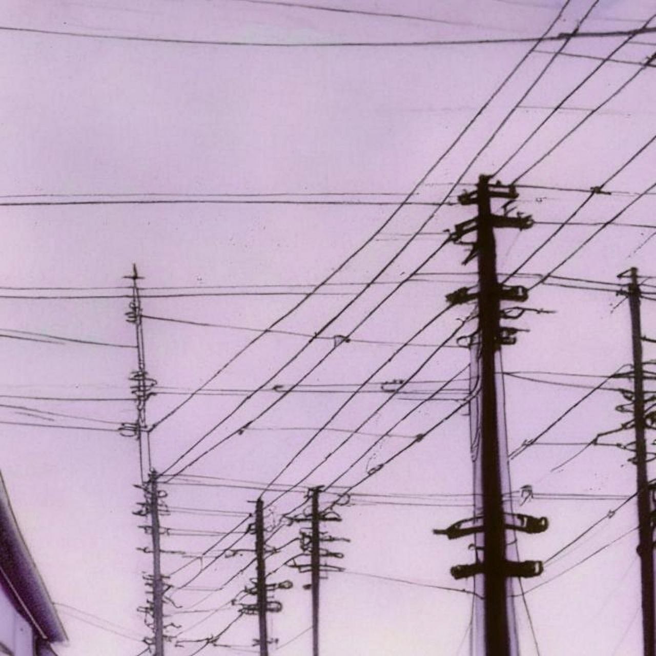 Обложка книги «Птицы на проводах»