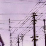 Обложка произведения Птицы на проводах