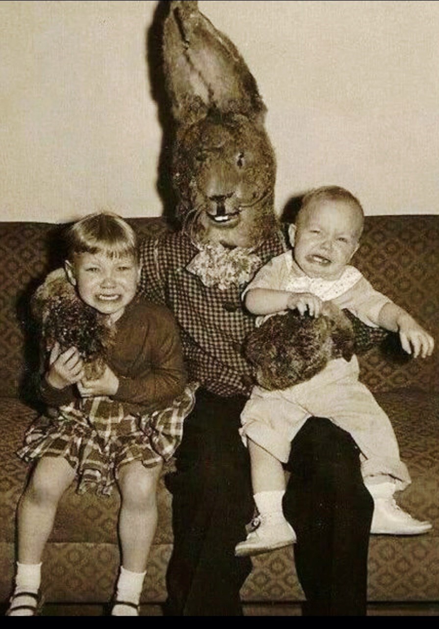 Обложка произведения Степень жёсткости