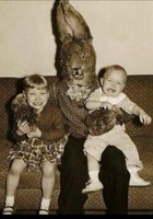 Обложка произведения Степень жёсткости