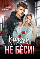 Обложка произведения Князев, не беси!