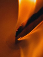 Обложка произведения ИллюзиЯ