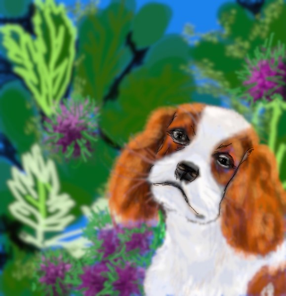 Иллюстрация