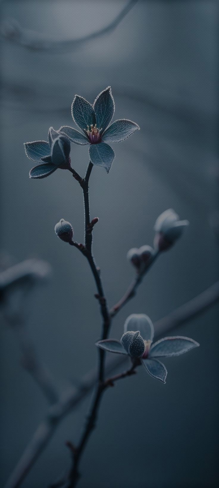 Обложка произведения Баба Яга, ноябрь и поэма