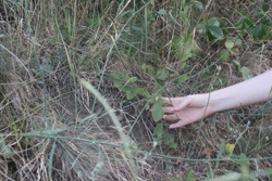 Ориби Каммпирр - Ночь...