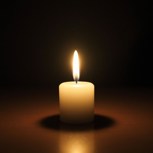 Обложка произведения Просыпается мафия...