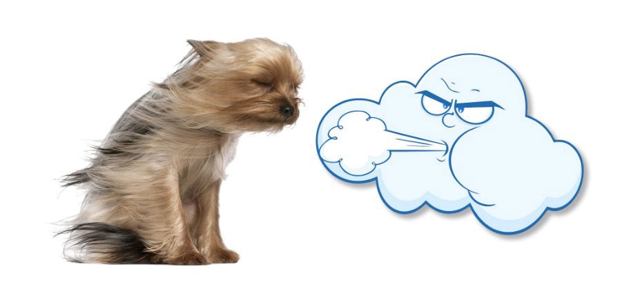 Обложка произведения Ветерок