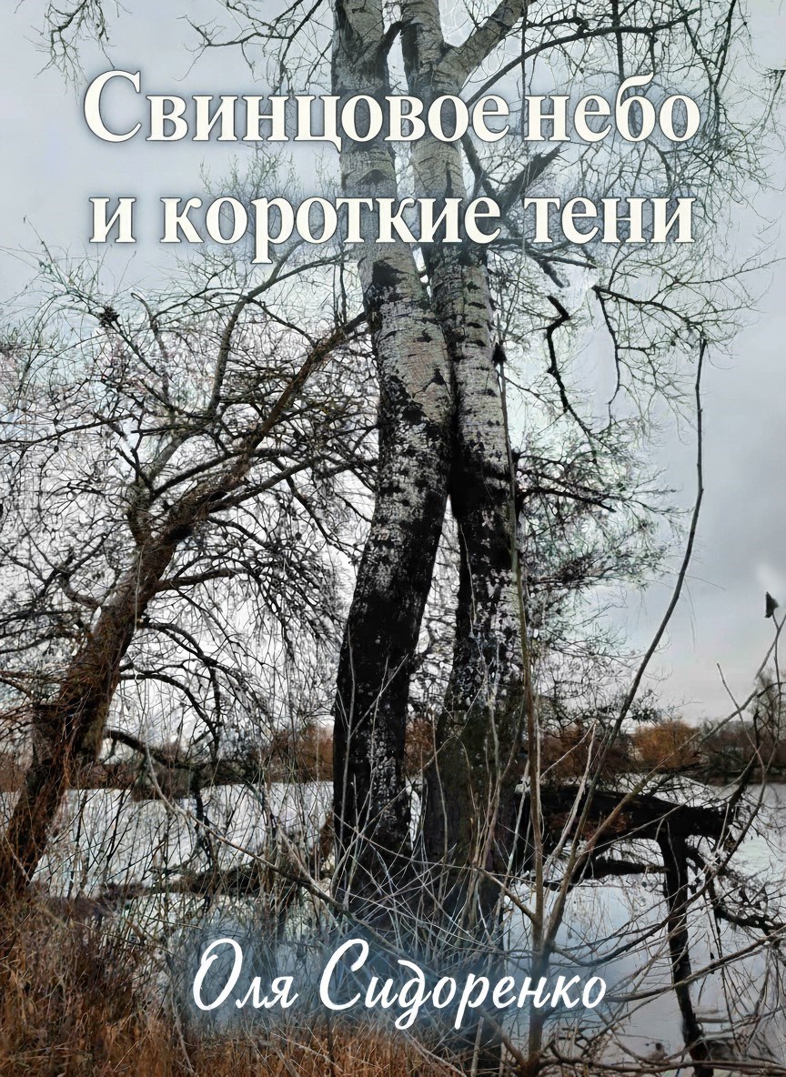 Обложка произведения Свинцовое небо и короткие тени