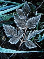 Обложка произведения Марсианские хроники