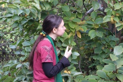 Ориби Каммпирр - Древо...