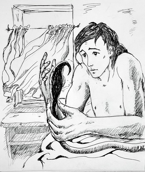 Иллюстрация